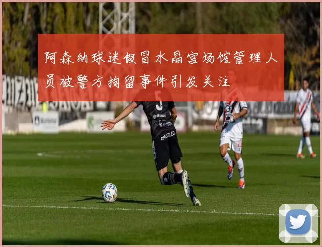 阿森纳球迷假冒水晶宫场馆管理人员被警方拘留事件引发关注